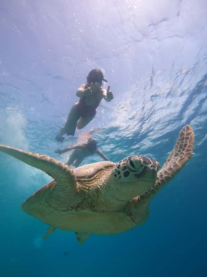From Lombok: Gili Islands Snorkeling Day Trip - Gili Meno and the underwater statues