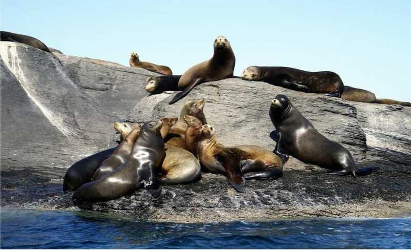 From Loreto: Coronado Island Snorkel - Timing, comfort, and cancellation