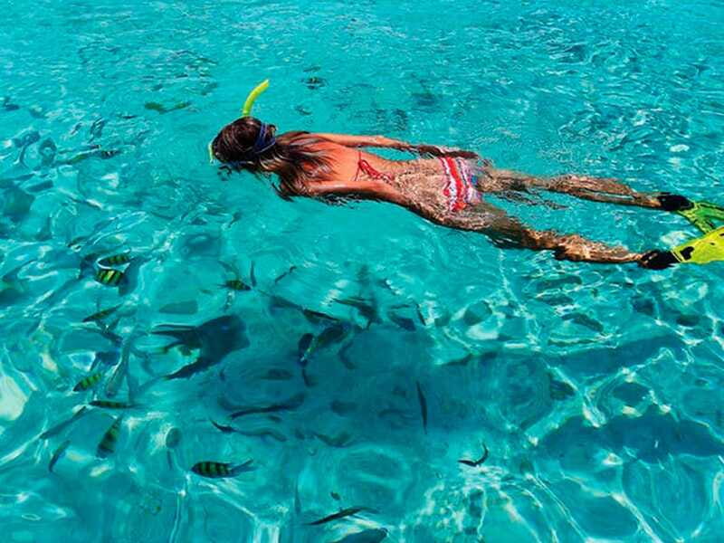 From Loreto: Coronado Island Snorkel - Who should book this Coronado Island outing?