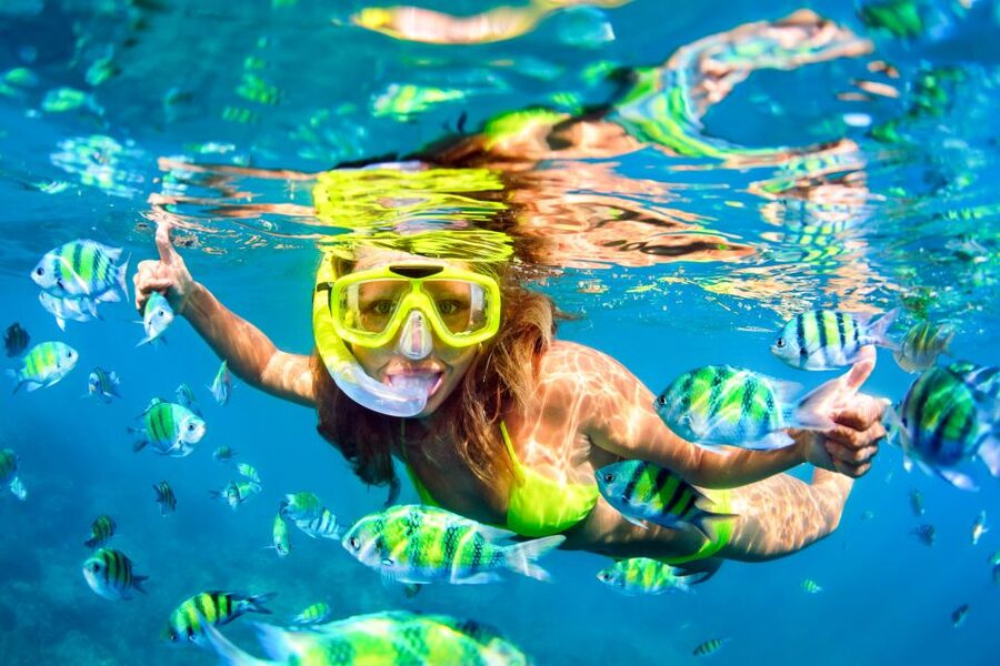 From Ma'alaea: Turtle Town Snorkel aboard Quicksilver - What the $99 price includes