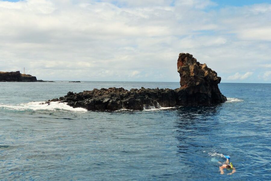 From Ma'alaea: Turtle Town Snorkel aboard Quicksilver - Who should book this Quicksilver trip?