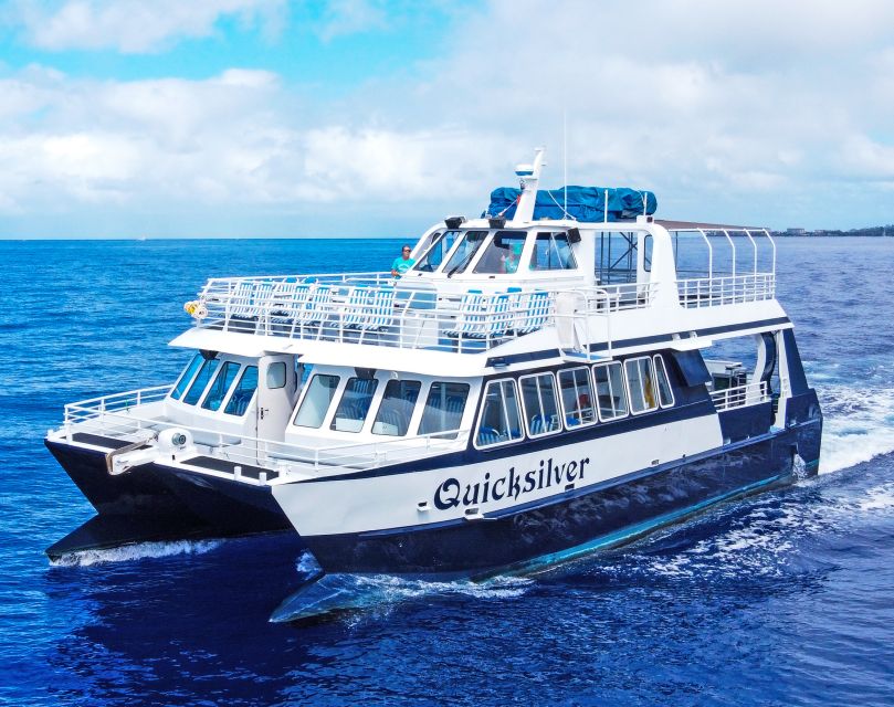 From Ma'alaea: Turtle Town Snorkel aboard Quicksilver - Should you book it?
