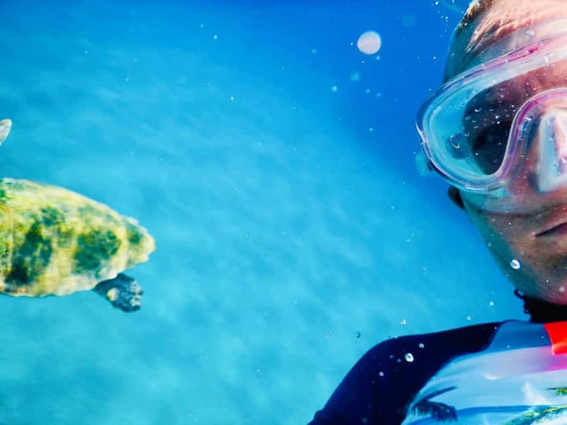 From Milopotas: Ios Island Scenic Snorkeling Cruise - Who should book this Ios cruise?