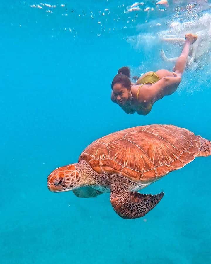 From Mindelo: Snorkel and Swim with Sea Turtles - Snorkeling beside the turtles