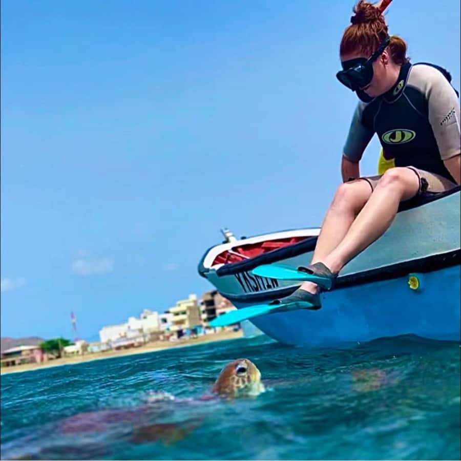 From Mindelo: Snorkel and Swim with Sea Turtles - Why the small group matters