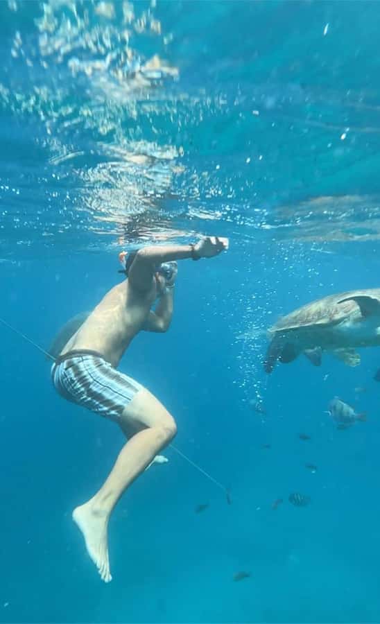 From Mindelo: Snorkel and Swim with Sea Turtles - The one-hour schedule and its limits