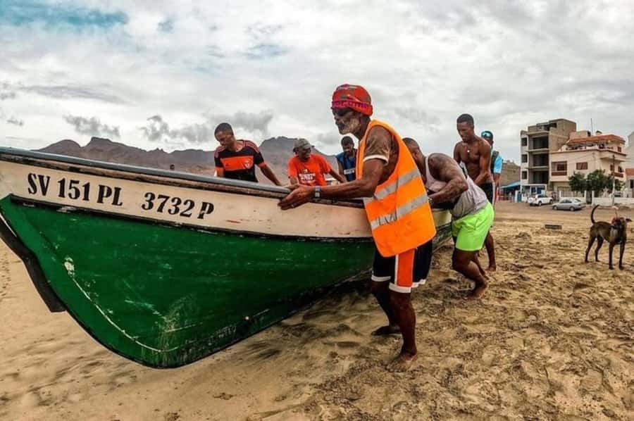 From Mindelo: Snorkel and Swim with Sea Turtles - What the boat encounter is really like