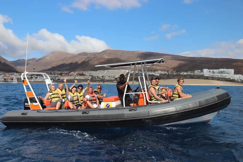 From Morro Jable: Dolphin and Whale Watching and Snorkelling - Should you book it?