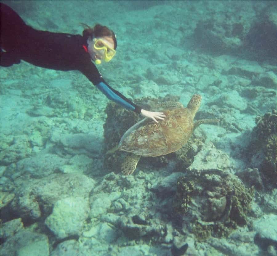 From Muscat: Dimaniyat Islands Snorkeling Tour - Lunch, drinks, and the practical value of the $85 price