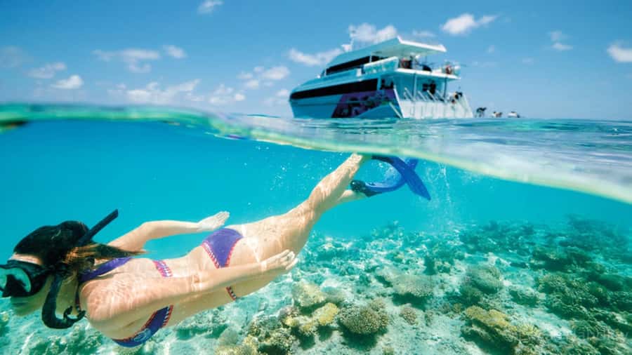 From Muscat: Dimaniyat Islands Snorkeling Tour - From your Muscat pickup to the marina