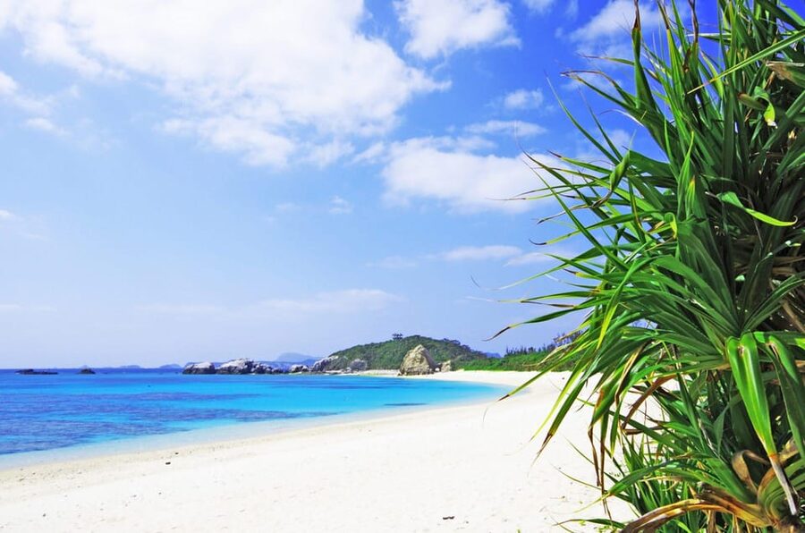 From Naha: Snorkeling Tour to Kerama by Ferry - Lunch, dietary needs, and what is included