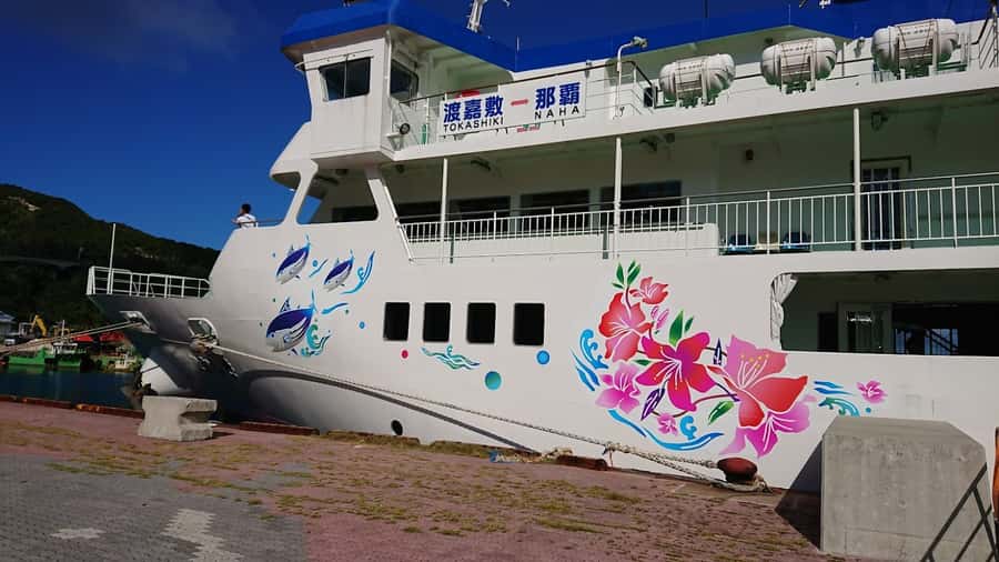 From Naha: Snorkeling Tour to Kerama by High-speed boat - What you may see below the surface