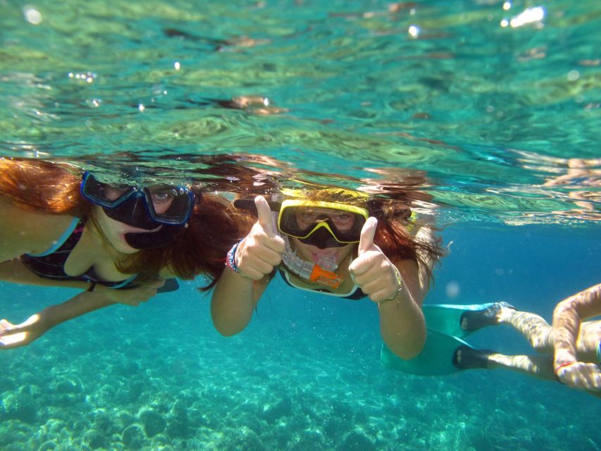 From Nice: French Riviera Swimming and Snorkeling Cruise - What you may see below the surface