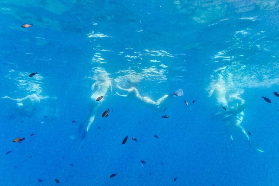 From Nice: French Riviera Swimming and Snorkeling Cruise - You can sunbathe instead of snorkeling