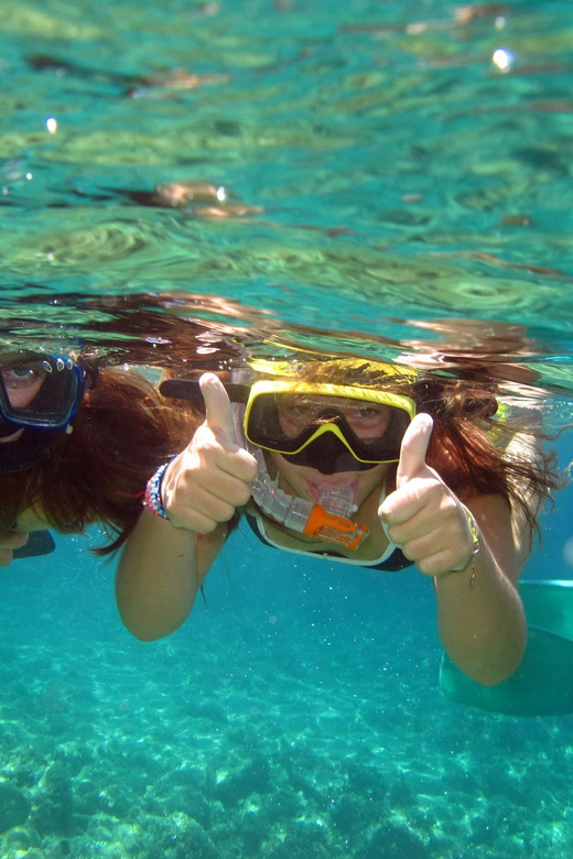 From Nice: Villefranche Bay Swimming & Snorkeling Boat Tour - Who will enjoy this most?