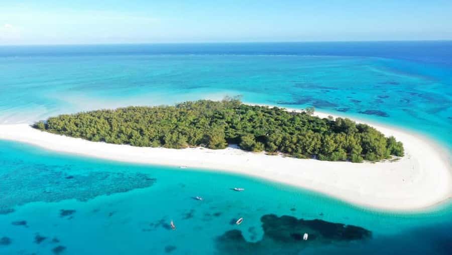 From Nungwi : Mnemba Boat Trip and Dolphin Snorkel Adventure - What the $50 Mnemba trip really includes