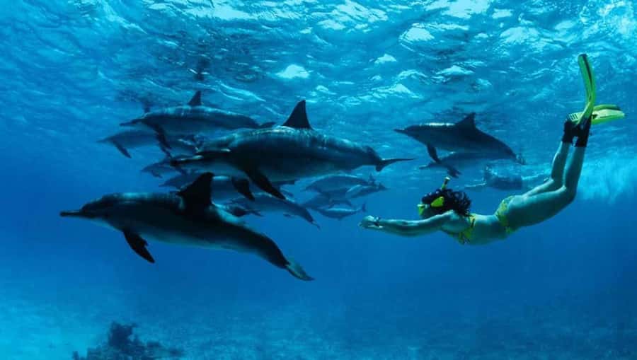 From Nungwi : Mnemba Boat Trip and Dolphin Snorkel Adventure - The boat ride from Nungwi toward dolphin waters