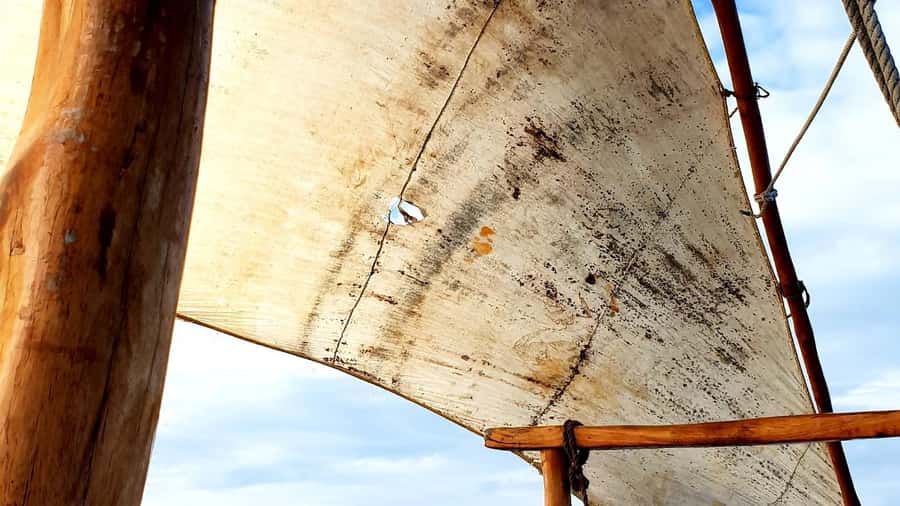 From Nungwi : Mnemba Boat Trip and Dolphin Snorkel Adventure - Leaving Kulinarium at 09:00