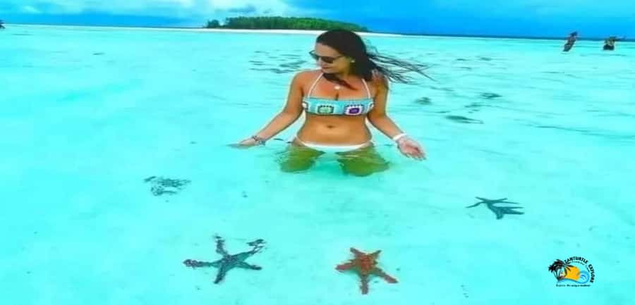From Nungwi: Mnemba Island Dolphin Watching and Snorkeling - Dolphin watching in open water