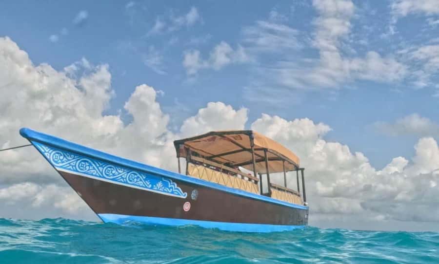 FROM NUNGWI; MNEMBA SNORKELING AND DOLPHIN TOUR - What the $45 price gets you