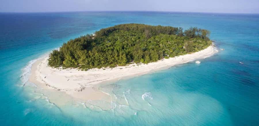 FROM NUNGWI; MNEMBA SNORKELING AND DOLPHIN TOUR - Who should book this outing