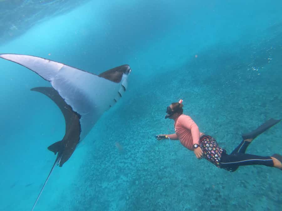 From Nusa Penida: 3 Spots Snorkeling Tour with Manta Rays - What makes this Nusa Penida snorkeling trip worth considering