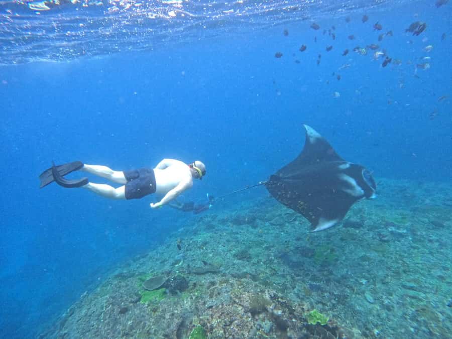 From Nusa Penida: 3 Spots Snorkeling Tour with Manta Rays - Crystal Bay and the other reef stops