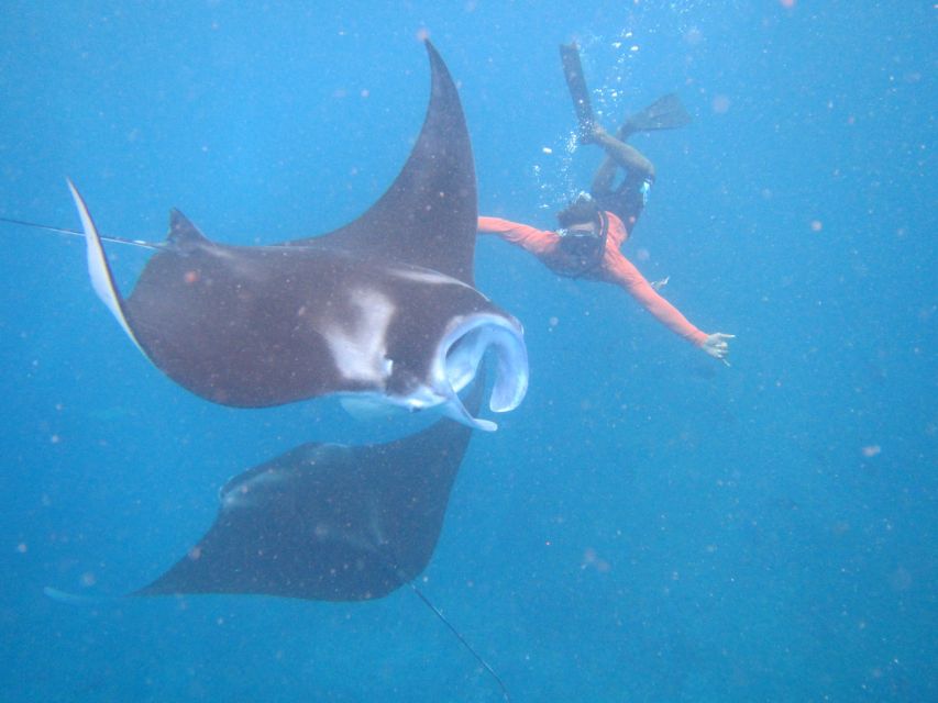 From Nusa Penida: 3 Spots Snorkeling Tour with Manta Rays - Lunch at Mesari Beach Restaurant