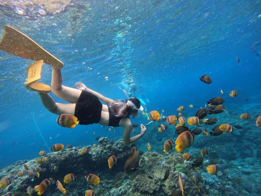 From Nusa Penida: 3 Spots Snorkeling Tour with Manta Rays - Safety, sea conditions, and the real trade-off