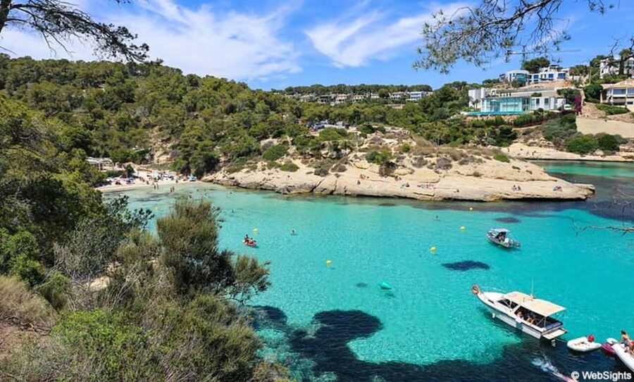 From Palma: Portal Vells Beach and Cave SUP & Snorkel Tour - Key points to know before you book