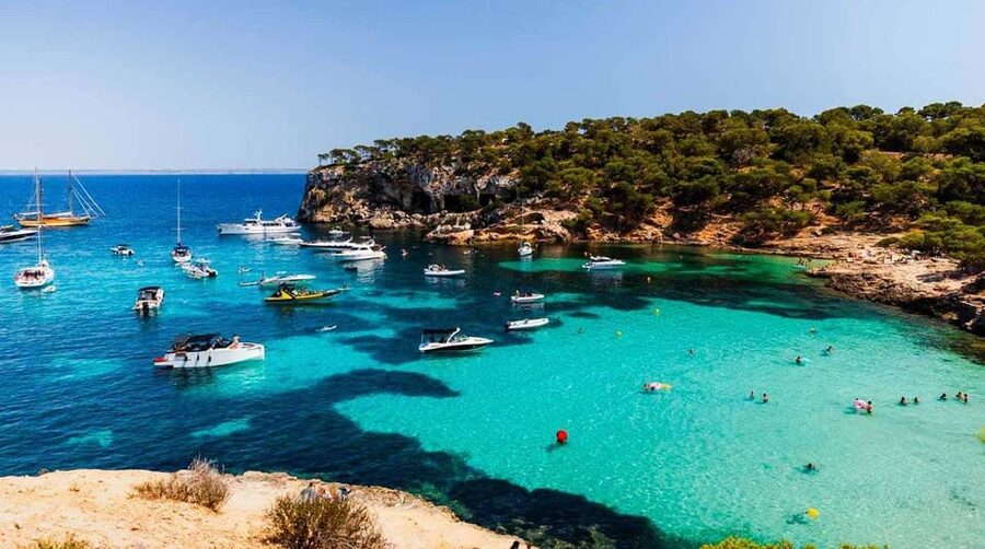 From Palma: Portal Vells Beach and Cave SUP & Snorkel Tour - The van ride from Palma and the pickup plan