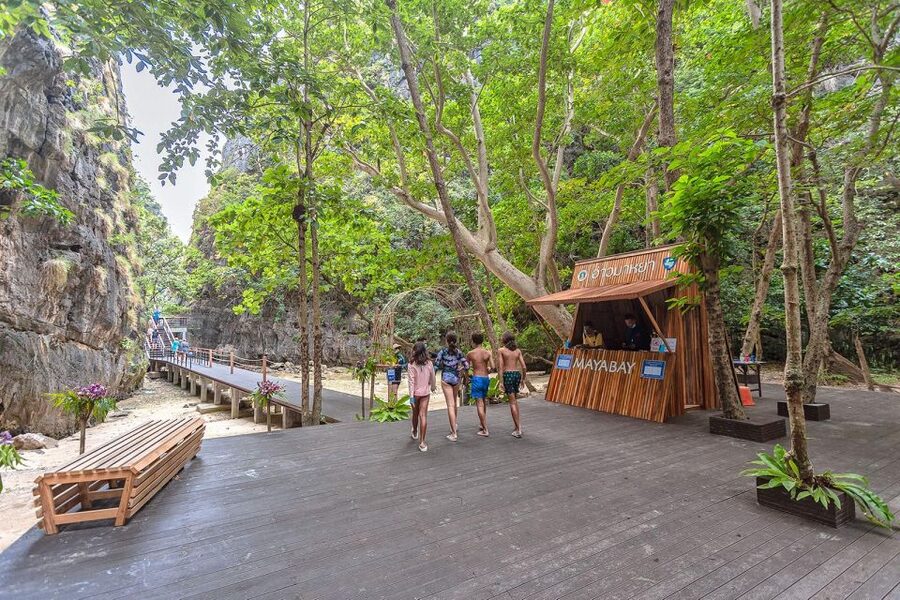 From Phi Phi: Full Day Snorkeling Trip by Longtail Boat - Shark Point is a wildlife chance, not a guarantee