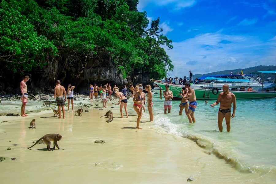 From Phi Phi: Half-Day Longtail Boat Tour with Snorkeling - What you get for $24