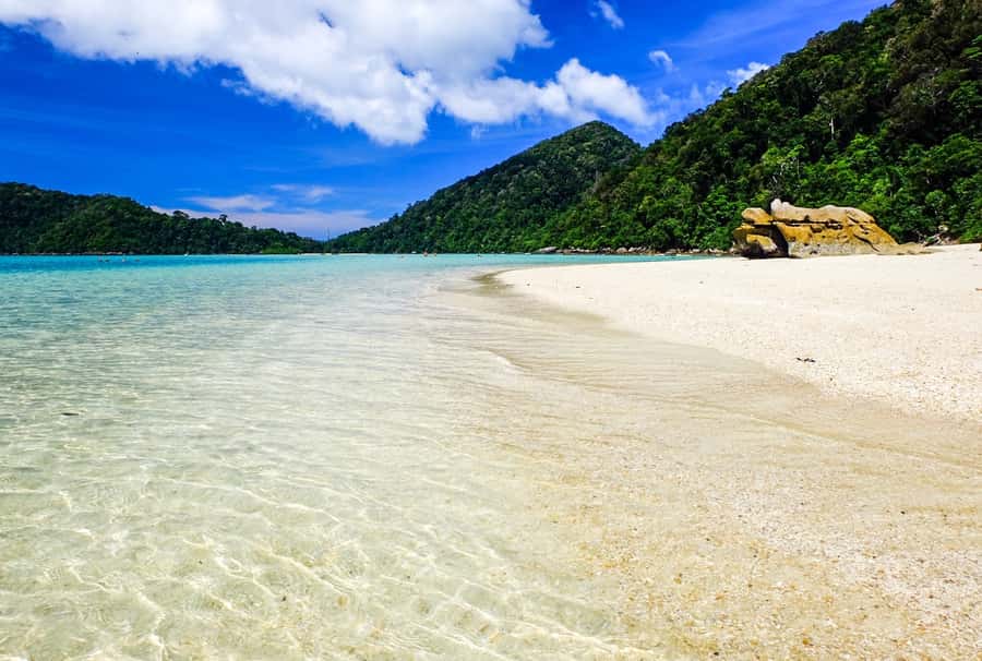 From Phuket/Khaolak: Surin Islands Snorkeling Day Trip - Key points to know before booking