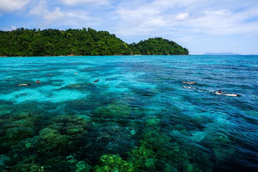From Phuket/Khaolak: Surin Islands Snorkeling Day Trip - The early road transfer from Phuket and Khao Lak