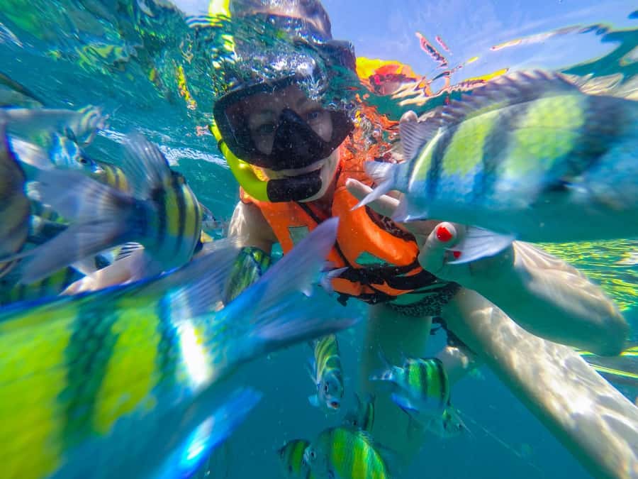 From Phuket: Phi Phi and Maya Bay Snorkeling by Speedboat - Why this day works well from Phuket