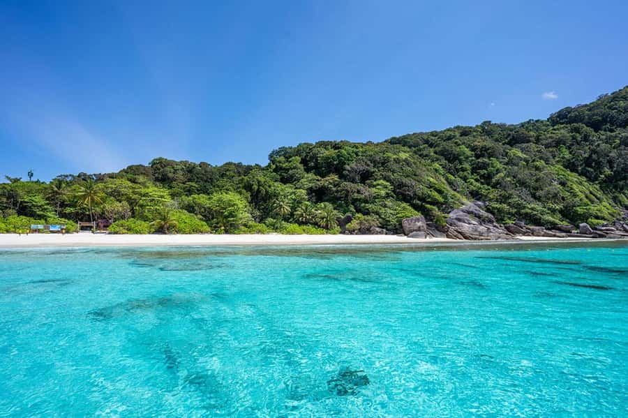 From Phuket: Similan Islands Snorkeling Trip by Speedboat - How to make the day easier