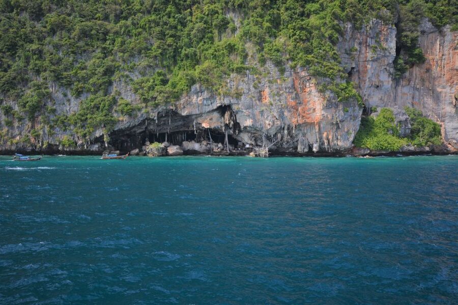 From Phuket: Snorkeling Ferry Cruise to Phi Phi Islands - Key points before you book