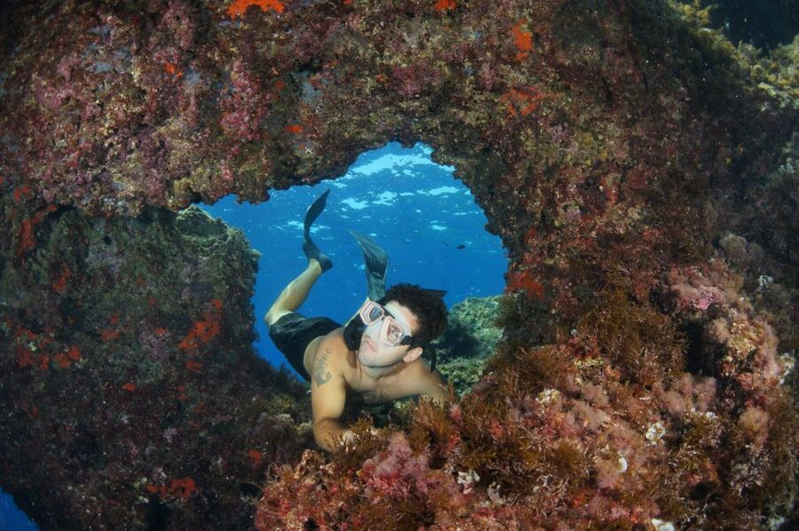 From Porto Ercole: Giannutri Island Snorkeling Boat Trip - Is the $90.63 price fair?
