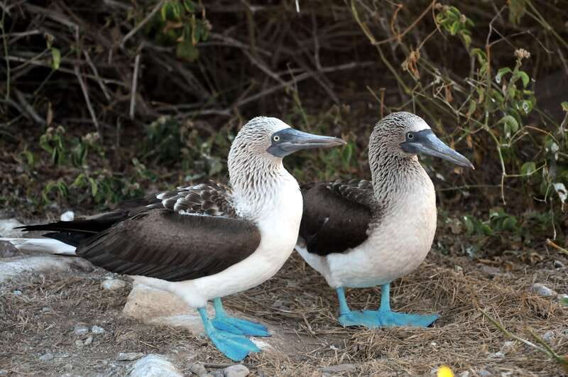 From Puerto Vallarta: Marieta Islands Snorkeling Trip - Is $145 a fair price?