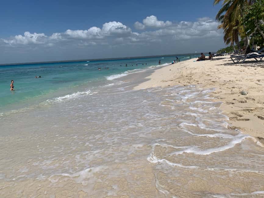 From Punta Cana: Catalina Island Swim, Sail & Snorkel - Snorkeling at the Caribbean Sea Coral Reef Wall