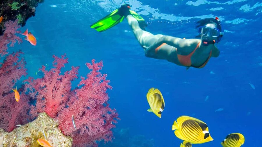 From Punta Cana: Catalina Island Swim, Sail & Snorkel - Lunch, Drinks, and the Practical Value of the Package