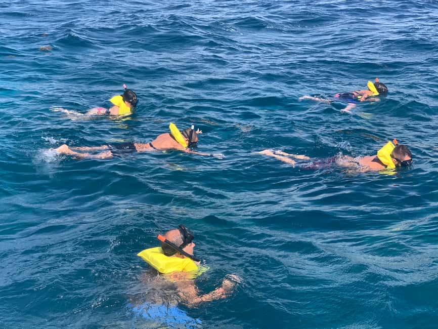 From Punta Cana: Catalina Island Swim, Sail & Snorkel - Timing, Group Style, and Things That Can Go Wrong