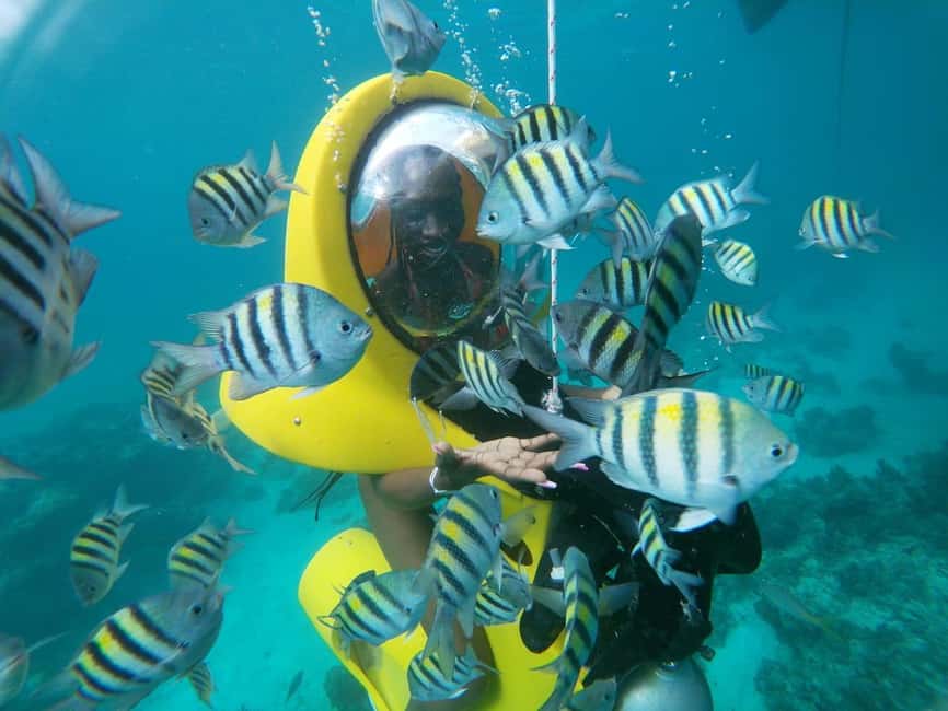 From Punta Cana: ScubaDoo, Snorkel & Glass Bottom Boat Tour - Panoramic One and the glass-bottom view