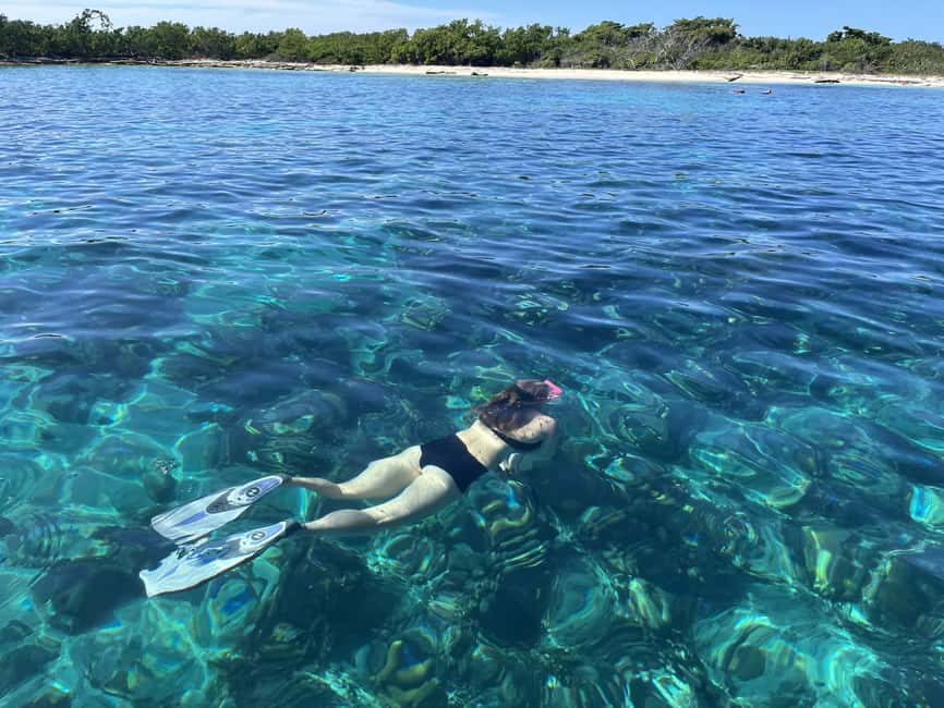 From Punta Cana: Small Group Catalina Island Snorkeling Tour - The Wall: deeper water and colorful fish