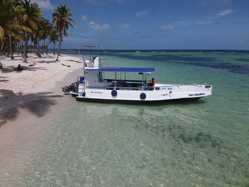 From Punta Cana: Small Group Catalina Island Snorkeling Tour - Guide care, group size, and accessibility