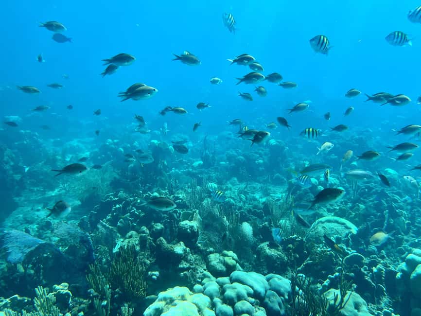 From Punta Cana: Small Group Catalina Island Snorkeling Tour - Getting from Punta Cana to Bayahibe