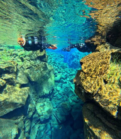 From Reykjavik: Silfra Snorkeling with Free Photos