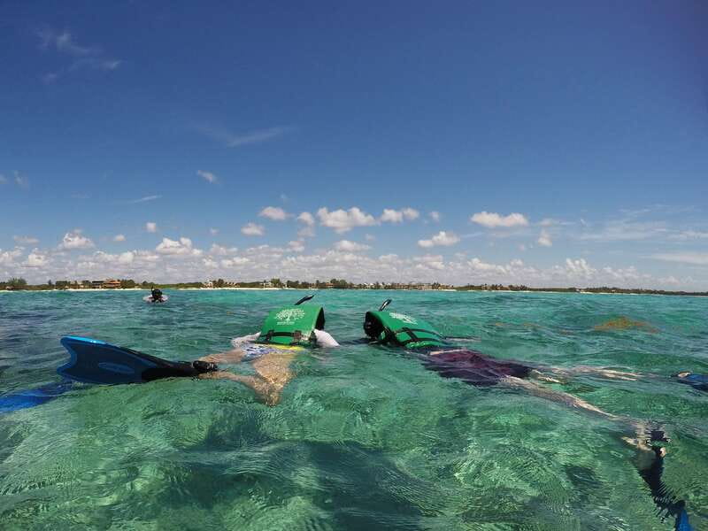 From Riviera Maya: Snorkeling & Private Cenote Half-Day Tour - Guides and group size matter here
