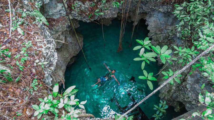 From Riviera Maya: Snorkeling & Private Cenote Half-Day Tour - Is $169 per person fair?